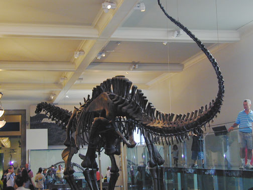 museum1
