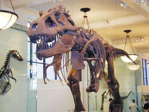 museum2