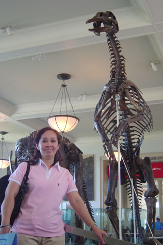 museum3