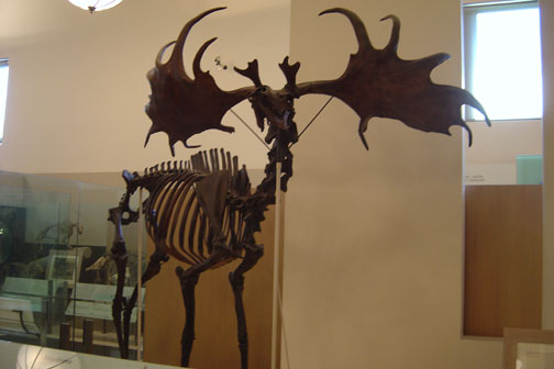 museum4
