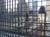 groundzero2